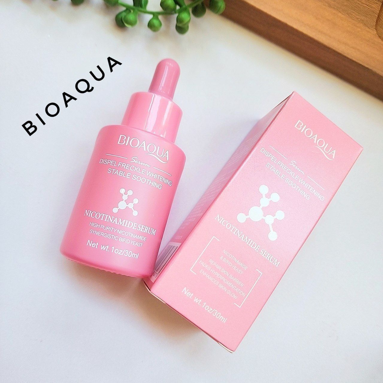 IMG_20241015_230047_295